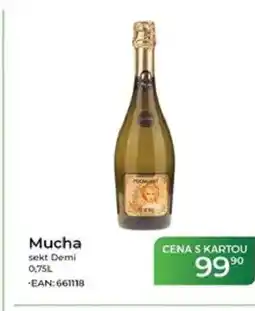 Tamda Foods Mucha sekt Demi nabídka