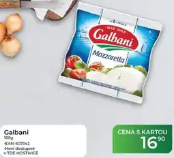 Tamda Foods Galbani nabídka