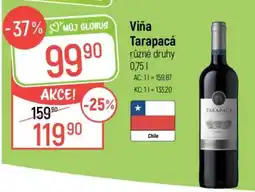 Globus Viña Tarapacá různé druhy nabídka