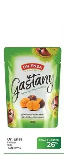 Tamda Foods Dr. Ensa kaštany nabídka