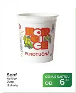 Tamda Foods Senf hořčice nabídka