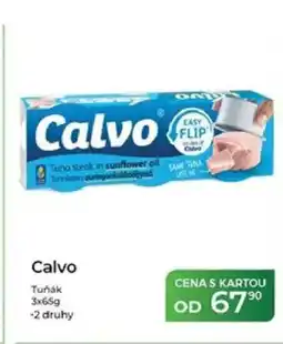 Tamda Foods Calvo Tuňák nabídka