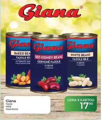 Tamda Foods Giana Fazole nabídka