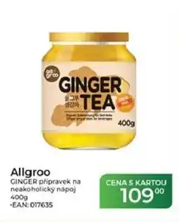 Tamda Foods Allgroo GINGER přípravek na neakoholický nápoj nabídka