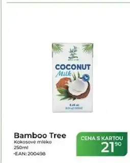 Tamda Foods Bamboo Tree Kokosové mléko nabídka
