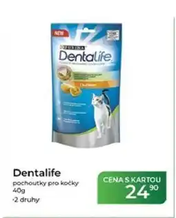 Tamda Foods Dentalife pochoutky pro kočky nabídka