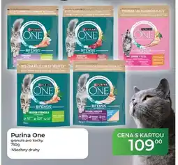 Tamda Foods Purina One nabídka