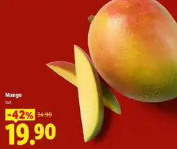 Lidl Mango, kus nabídka