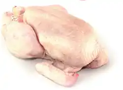 Albert Sedlácké kuře chlazené nabídka
