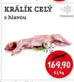 RABBIT řeznictví KRÁLÍK CELÝ s hlavou nabídka