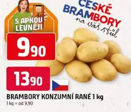 Trefa Brambory konzumní rané nabídka