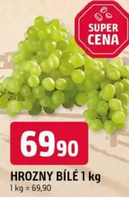 Trefa Hrozny bílé nabídka