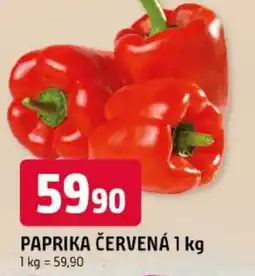 Trefa Paprika červená nabídka