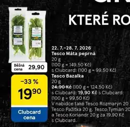 Tesco Tesco Bazalka nabídka