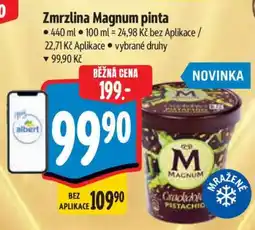 Albert Zmrzlina Magnum Pinta nabídka