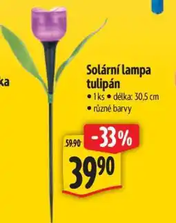Albert Solární lampa tulipán nabídka