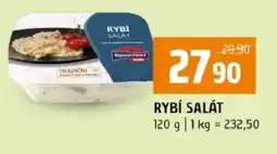Terno Rybí salát nabídka