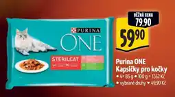 Albert Purina ONE Kapsičky pro kočky nabídka