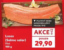 Kaufland Losos (Salmo salar) filet nabídka