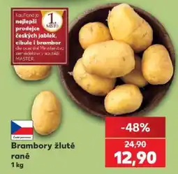 Kaufland Brambory žluté rané nabídka