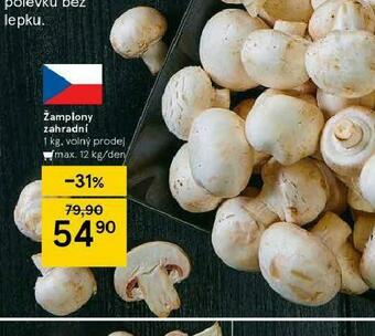 Tesco Žampiony zahradní nabídka