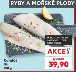 Kaufland Candát filet 100 g nabídka