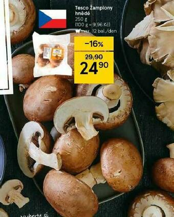 Tesco Žampiony nabídka