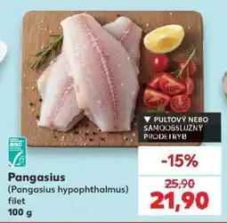 Kaufland Pangasius filet 100 g nabídka