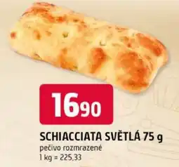 Trefa Schiacciata světlá pečivo rozmrazené nabídka
