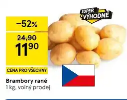 Tesco Brambory rané nabídka