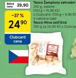 Tesco Tesco žampiony zahradní nabídka