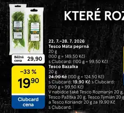 Tesco Tesco Máta peprná nabídka
