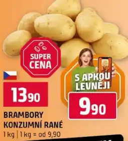 Terno Brambory konzumní rané nabídka