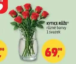 Penny Market KYTICE RŮŽE různé barvy, 1 svazek nabídka