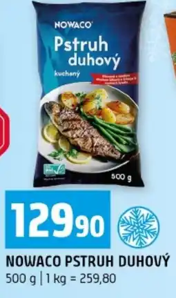Terno Nowaco pstruh duhový nabídka
