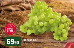Terno Hrozny bílé nabídka