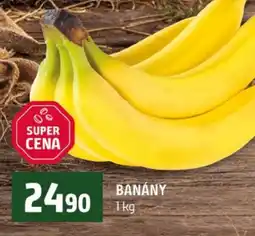Terno Banány nabídka