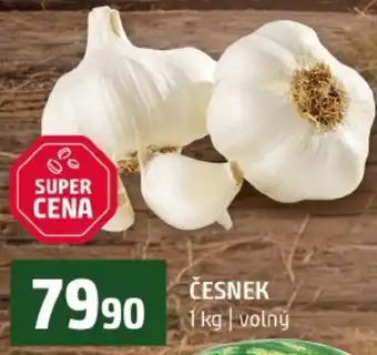 Terno Česnek nabídka