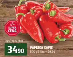 Terno Paprika kapie nabídka