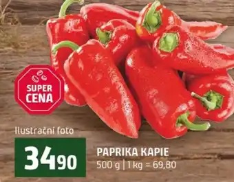 Terno Paprika kapie nabídka