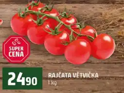Terno Rajčata větvička nabídka