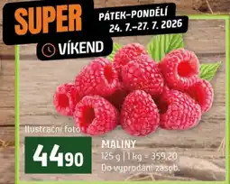 Terno Maliny nabídka