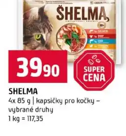 Terno Shelma nabídka