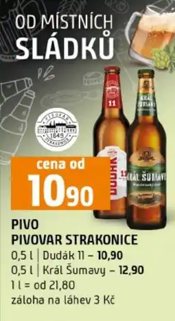 Terno Pivo pivovar strakonice nabídka
