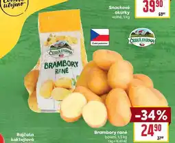 Billa Brambory rané balení nabídka
