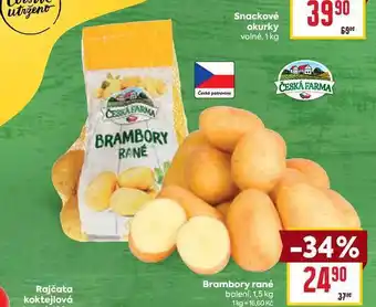 Billa Brambory rané balení nabídka