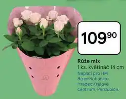 Tesco Růže mix, 1 ks, květináč 14 cm nabídka
