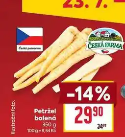 Billa Petržel balená nabídka