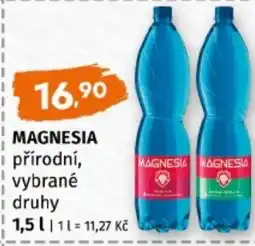 Terno Magnesia přírodní nabídka
