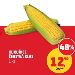 Penny Market Kukuřice čerstvá klas nabídka